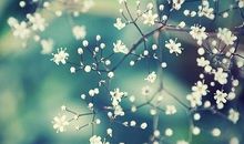 10月18日星座运势，巨蟹座异性青睐、天秤八方助力、水瓶发挥出众