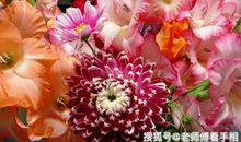 再过3天福禄双至，被好运包围，喜事不断，财神爷偏爱的3大生肖