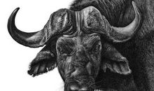 73年属牛人的灾难年龄是几岁