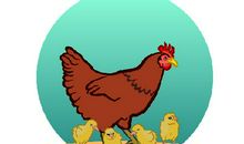 1981年属鸡40岁后有十年大运吗