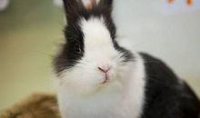 75年属兔45岁需要注意什么