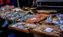 梦见鱼和虾是什么意思