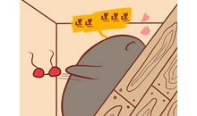 抗压能力最强的星座，绝对不会轻易被打败！