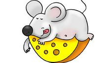 60年一遇的金鼠好不好