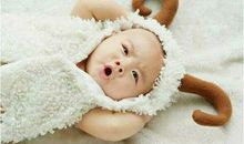 属羊人的五行特征，属木羊家庭幸福夫妻感情稳定