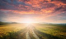 28号起，睡着能笑醒！3生肖，天上掉钱、地上生金，双喜临门要“暴富”