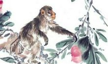 1968年属猴一生有二婚