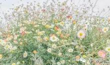 塔罗牌占卜：我和你有个约定！有一场占卜值得来看！那个人值得你等吗？