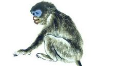 11月初财运畅通，横财进账的四大生肖，运势转衰为旺