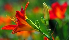 送走霉运，下半年时来运转的3大生肖，财运大旺，心情倍儿爽！