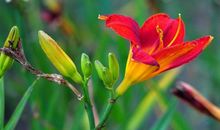 受财神爷关爱！下半年运势大幅度提升，日子格外顺畅的3大生肖