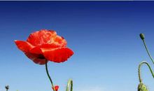 11月6号喜事多起来，生活好起来的生肖，日子甜如蜜，外财赚不尽