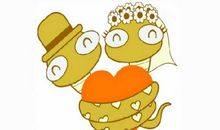 1977年属蛇40岁后有十年大运吗