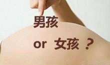 2019宝宝男女预测表 2019年生猪宝宝的准妈妈们看过来