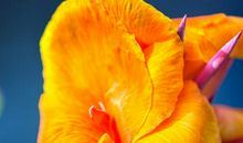 11月4属相财运提高，生活风生水起，意外惊喜连连，通往成功