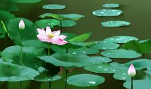 7天内好运蹭蹭涨，身价大涨，富贵找上门的三生肖