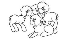 03年属羊人的灾难年龄是几岁