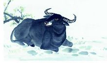 这些生肖男有钱又有潜力，宠妻如命，最值得女人托付终身