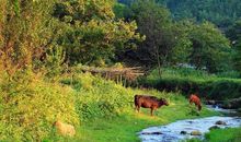觉得哪一条小溪的水最清澈？测你9月份有什么好运