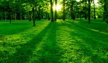 下半年，吉星关照，横财不停，翻身变大富豪的三生肖