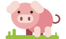 土猪命好还是金鼠命好