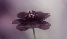 十二星座10月18日运势 - 今日顺利榜：白羊座、处女座、摩羯座