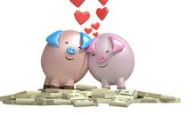 生肖猪女人的感情弱点是什么