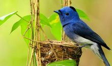 金九银十，10月好运大涨，财富堆满山，行大运发大财的三属相