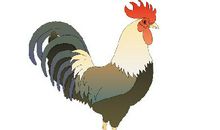 1993属鸡一生有二婚