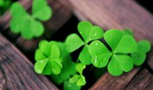 一辈子有3次横财 这3大生肖需注意自己的横财何时能来