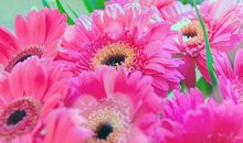 恭喜四生肖幸福更长久，10月25号开始财旺福气旺，财大气粗更胜从前!