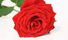 明天开始，运势如虹，财运红到发紫，事业飞黄腾达的3生肖