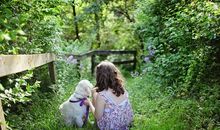 生肖狗女人的感情弱点是什么