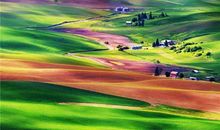 色彩构思取名法(图文)