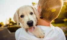 生肖狗人最怕什么事情