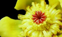 未来一周财神送财的3个生肖，好运无法想象，一路水涨船高