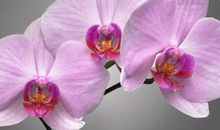 10月30号，转运成功！3生肖财运喜洋洋，出门遇贵人，横财不请自来，睡着笑醒