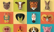 富贵生肖指的是哪几肖