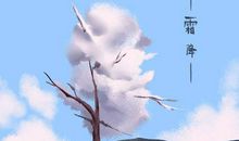 霜降养生食物2019 适宜霜降的饮食