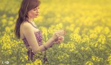 11月份，属“羊、虎、龙”人不得了了，有财有福还有好运！