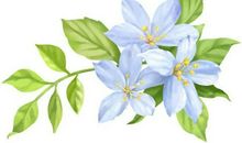 最富有的两个生肖夫妻搭配，谁都不知道他们到底能多有钱！