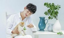 认真脸，只适合做朋友的星座，别爱上