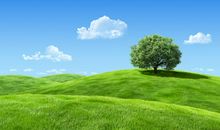 10月底特大好消息，3生肖不得了，金银滚滚来，财气一飞冲天，天天开口笑