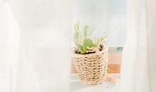 双子座这无处安放的魅力啊！！！