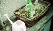 好马也吃回头草的星座男