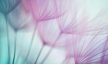 7、8、9号，迎大喜、接大财，3生肖六六大顺，双喜临门，睡着都笑醒