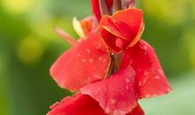 2020年福气满满，来财来福来贵子的生肖，家门兴旺，高攀不起