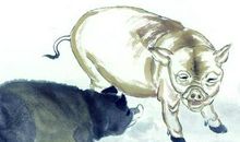 属猪2018年运势及运程 2018年属猪人全年每月运势