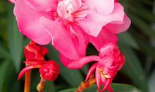 7天之后，4属相霉运退散，好运临头，财源滚滚来，日子越过越好