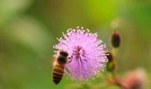 未来3年钱包鼓鼓，情场得意，幸福路上越走越远的生肖